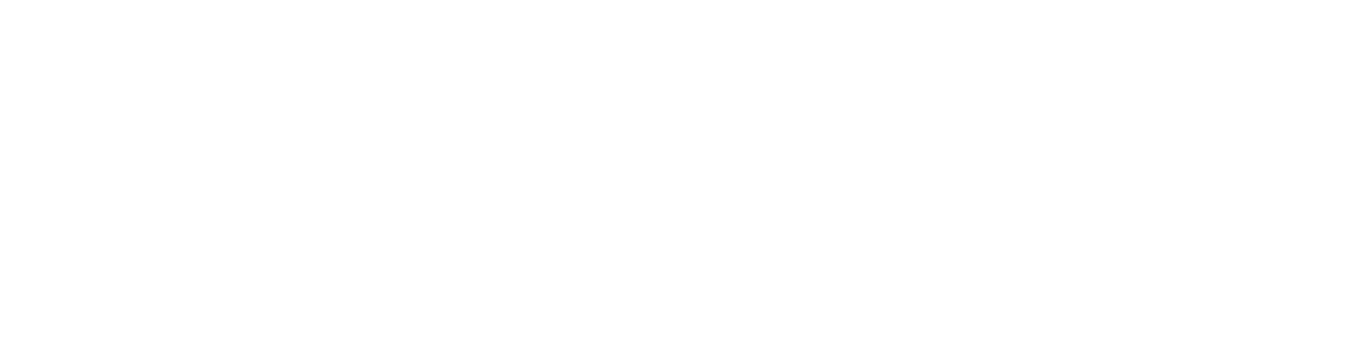 Grizzly Broadband Logo, White